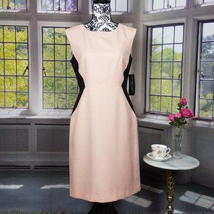 NWT BLACK LABEL CAREER DRESS BY EVAN PICONE (4)